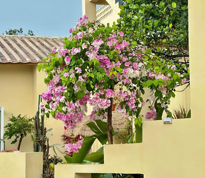 北海亲子游5天4晚价格跟团五日游报价开元棋牌试玩北海亲子跟团游多少钱？(图5)